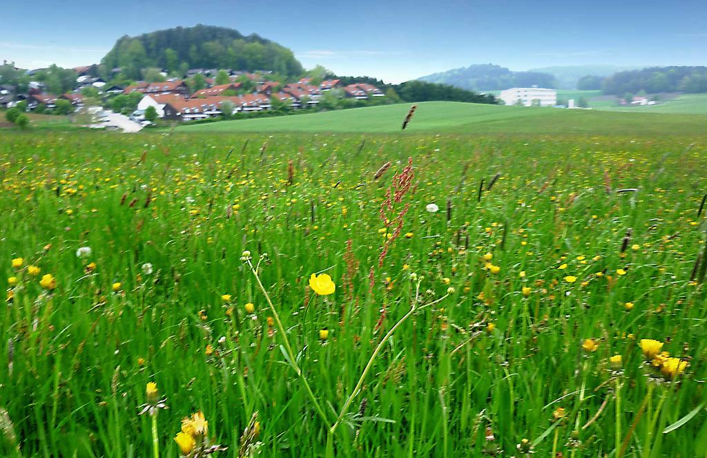 Ferienwohnung Gerda Zandt Luaran gambar